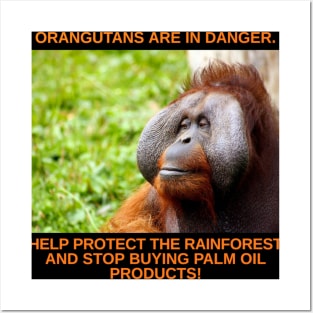 Orangutans are in Danger! Posters and Art